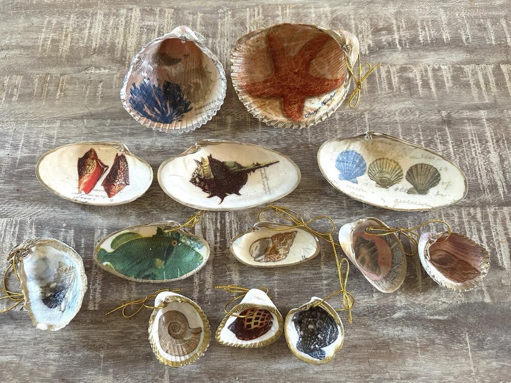 13 Decoupage Oyster Seashells Gold Trim Trinket Dish Ornaments Fish Shells Sea